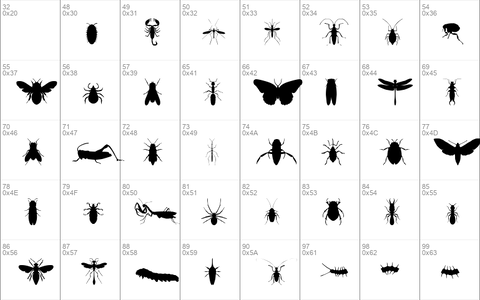 Insectile Solid