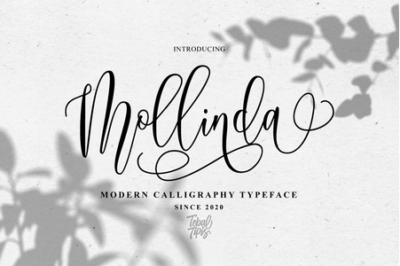 Mollinda Script Demo font