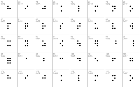 RNIB Braille Regular