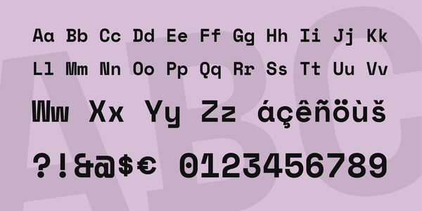 Space Mono font