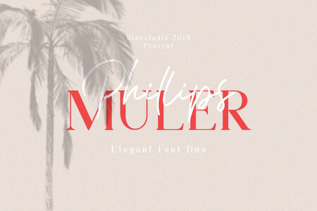 Phillips Muler Signature font