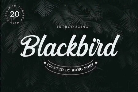 Blackbird