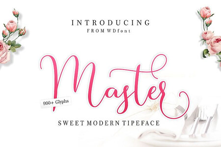 Master Script font