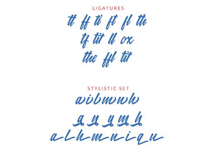 Meithey Bold Script font