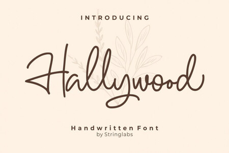 Hallywood font