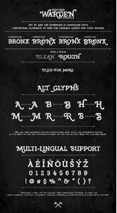 Warden Typeface Rough font