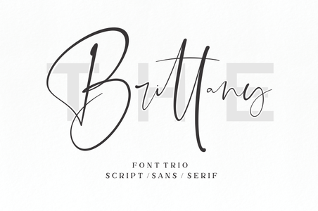 The Brittany Serif 2 font