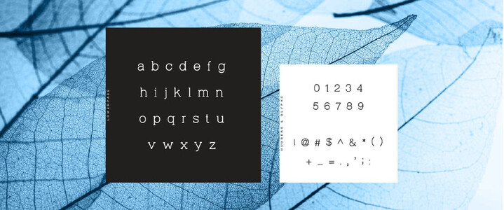 Virtuous Slab font