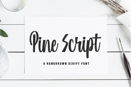 Pine Script font