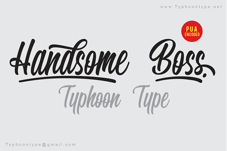 Handsome Boss - Personal Use font