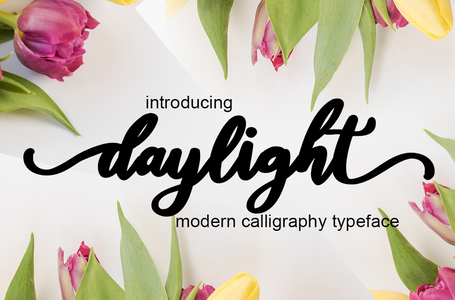 daylight font