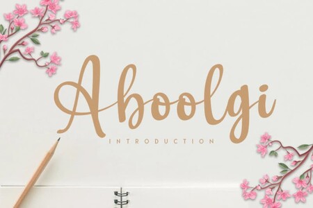 Aboolgi