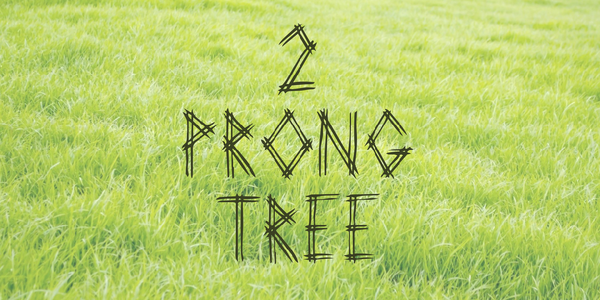 2 Prong Tree font