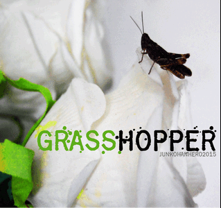 Grasshopper Z font
