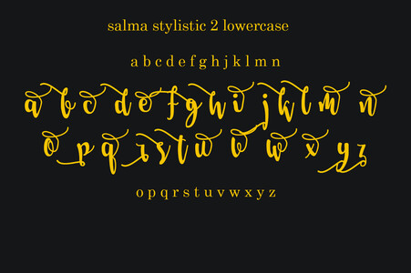 Salma Stylistic 1 font