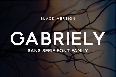 Gabriely font