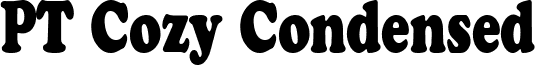PT Cozy Condensed font - ptcozycondensed.ttf