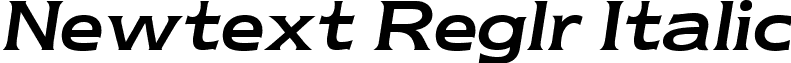 Newtext Reglr Italic font - newtextreglritalic.ttf