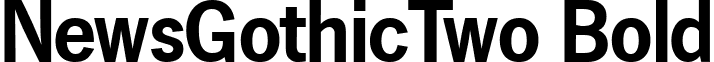 NewsGothicTwo Bold font - newsgothictwo-bold.ttf