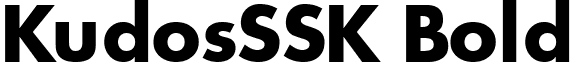 KudosSSK Bold font - kudossskbold.ttf