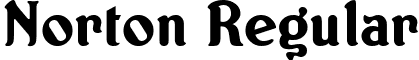 Norton Regular font - NORTON__.TTF