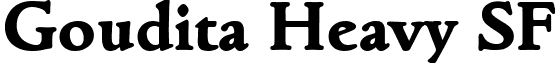 Goudita Heavy SF font - gouditaheavysfbold.ttf