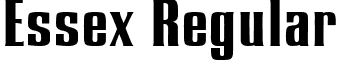 Essex Regular font - essex-regular.ttf