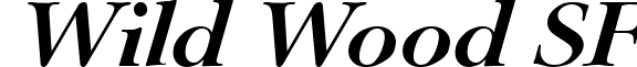Wild Wood SF font - Wild Wood SF Bold Italic.ttf