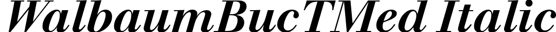 WalbaumBucTMed Italic font - walbaumbuctmeditalic.ttf