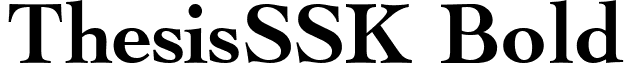 ThesisSSK Bold font - thesissskbold.ttf