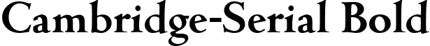 Cambridge-Serial Bold font - cambridge-serial-bold.ttf