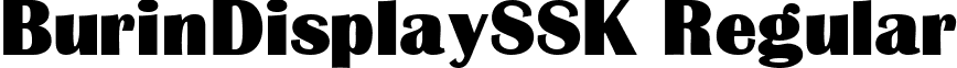 BurinDisplaySSK Regular font - burindisplayssk.ttf