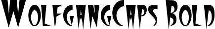 WolfgangCaps Bold font - WolfgangCaps Bold.ttf