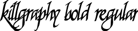 Killgraphy Bold Regular font - killgraphybold.ttf