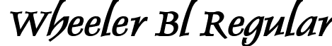 Wheeler Bl Regular font - ji-skinks.ttf