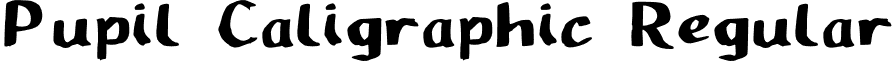 Pupil Caligraphic Regular font - Pupil_Caligraphic.otf