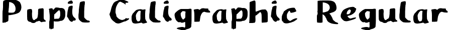 Pupil Caligraphic Regular font - Pupil_Caligraphic.ttf