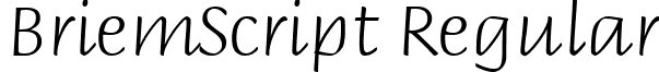 BriemScript Regular font - briemscript.ttf