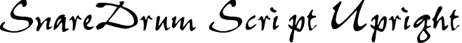 SnareDrum Script Upright font - snaredrumscriptupright.ttf