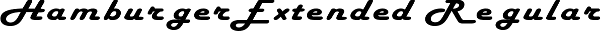 HamburgerExtended Regular font - hamburgerextended.ttf