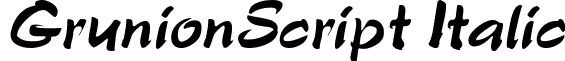 GrunionScript Italic font - grunionscriptitalic.ttf