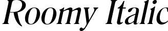 Roomy Italic font - roomyitalic.ttf