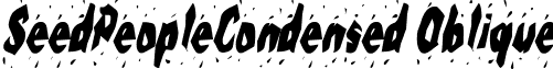 SeedPeopleCondensed Oblique font - seedpeoplecondensedoblique.ttf