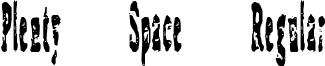 Plenty Space Regular font - ji-myopes.ttf
