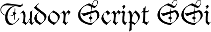 Tudor Script SSi font - tudorscriptssi.ttf