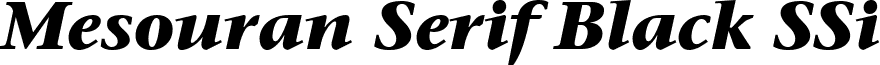 Mesouran Serif Black SSi font - mesouranserifblackssibolditalic.ttf