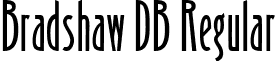 Bradshaw DB Regular font - bradshaw-regulardb.ttf