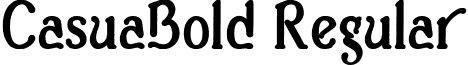 CasuaBold Regular font - Casua_b.ttf