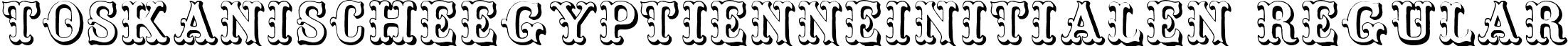 ToskanischeEgyptienneInitialen Regular font - ToskanischeEgyptienneInitialen.ttf