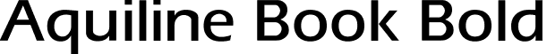 Aquiline Book Bold font - aquilinebookbold.ttf